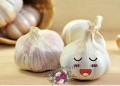 Cách chữa viêm phụ khoa bằng tỏi đang được nhiều người áp dụng