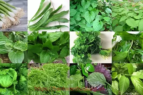 Mang thai 3 tháng đầu không nên ăn một số loại rau củ quả không tốt cho thai nhi