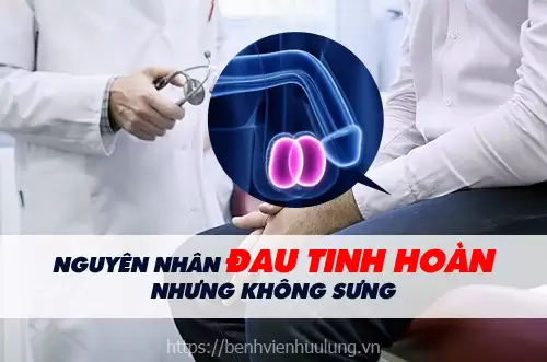 Nguyên nhân gây đau tinh hoàn nhưng không xưng do bị tác động