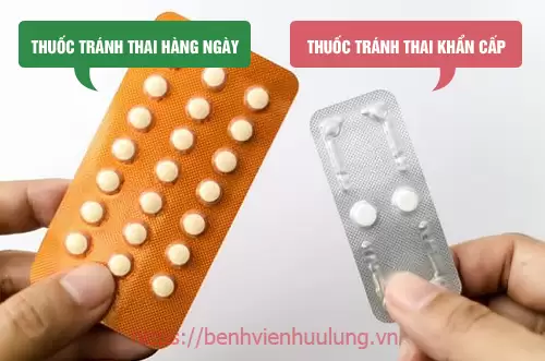 Hai loại thuốc tránh thai phổ biến hiện nay