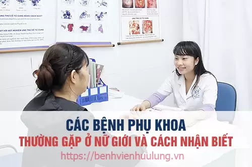 Những bệnh phụ khoa thường gặp ở nữ giới và dấu hiệu nhận biết